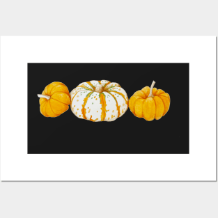 Pumpkin Trio Posters and Art